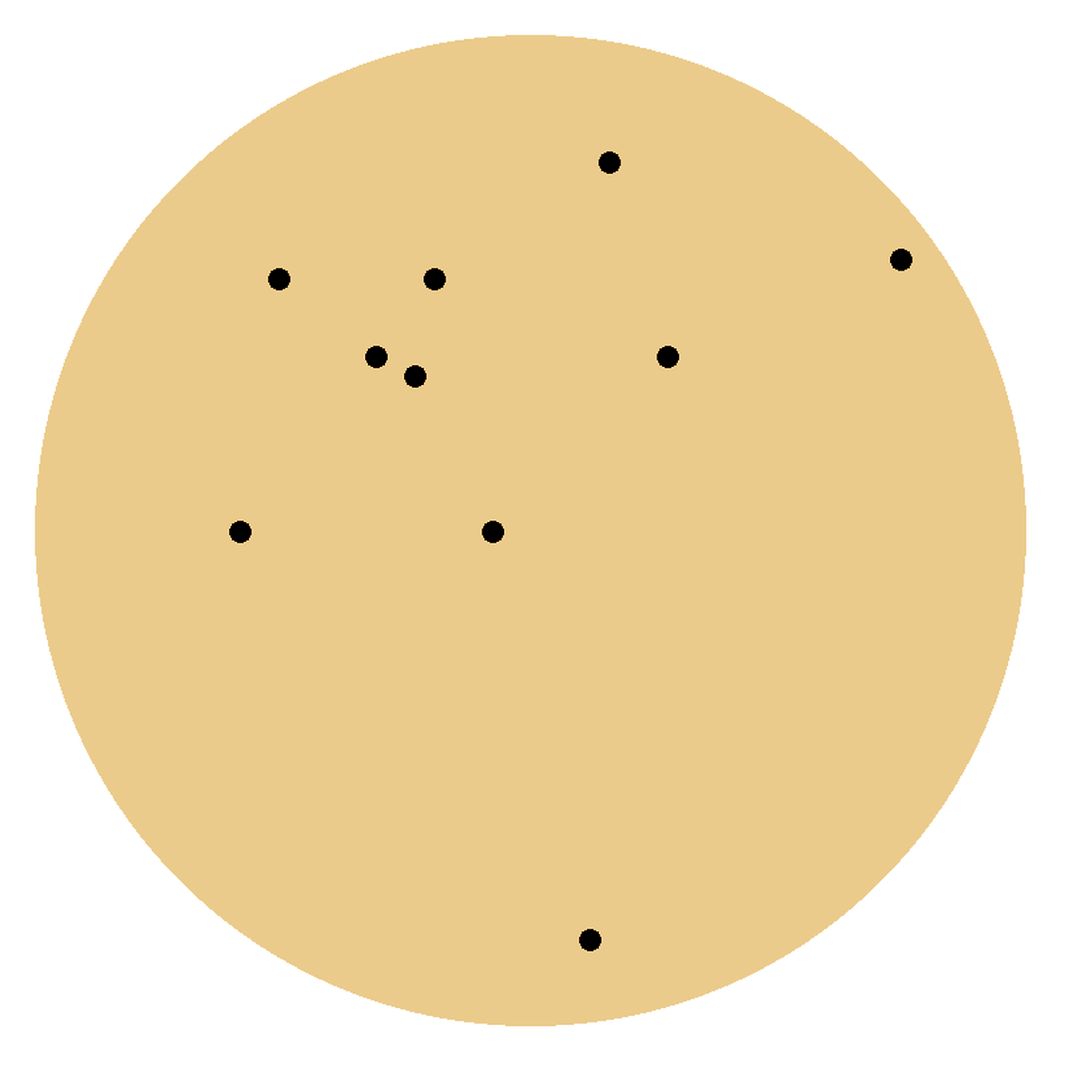 A sparse set with 10 out of 2,000 possible elements.